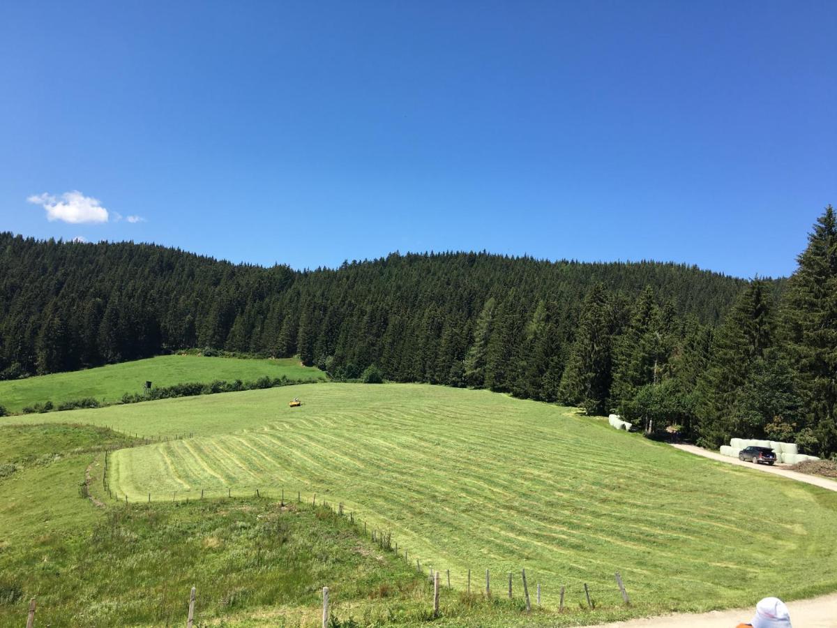 蓬高圣约翰Lindbichlhof Urlaub Am Bio Bauernhof公寓 外观 照片