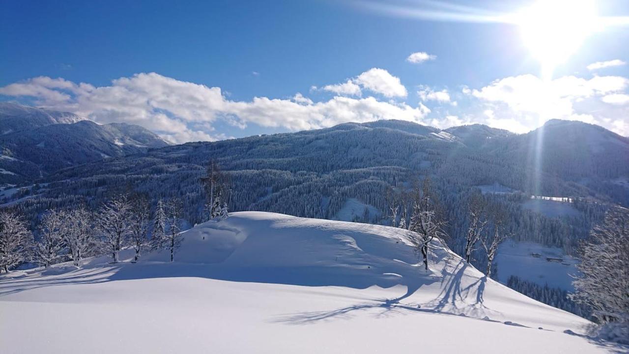 蓬高圣约翰Lindbichlhof Urlaub Am Bio Bauernhof公寓 外观 照片
