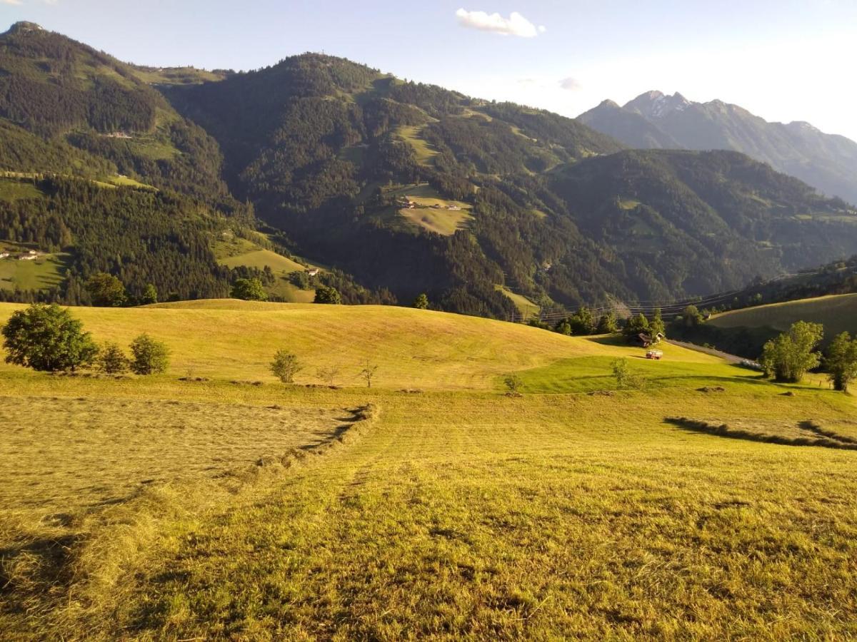 蓬高圣约翰Lindbichlhof Urlaub Am Bio Bauernhof公寓 外观 照片