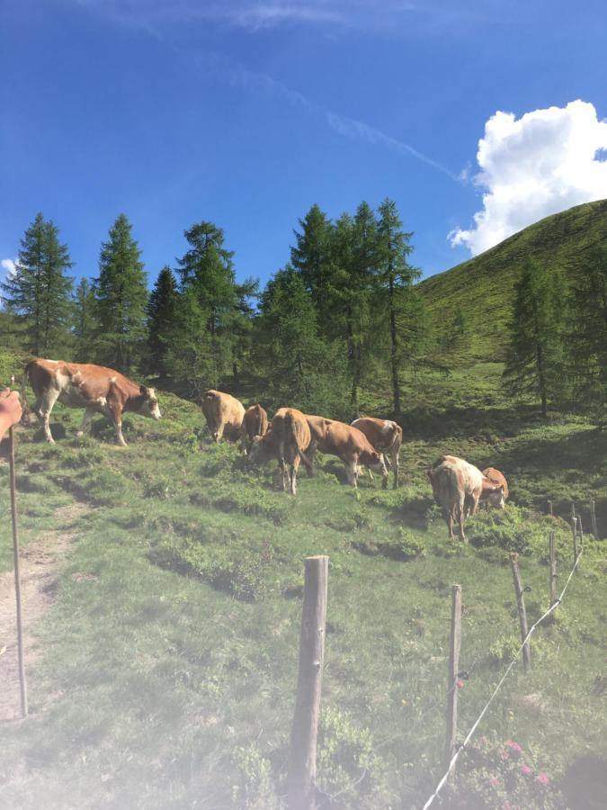 蓬高圣约翰Lindbichlhof Urlaub Am Bio Bauernhof公寓 外观 照片