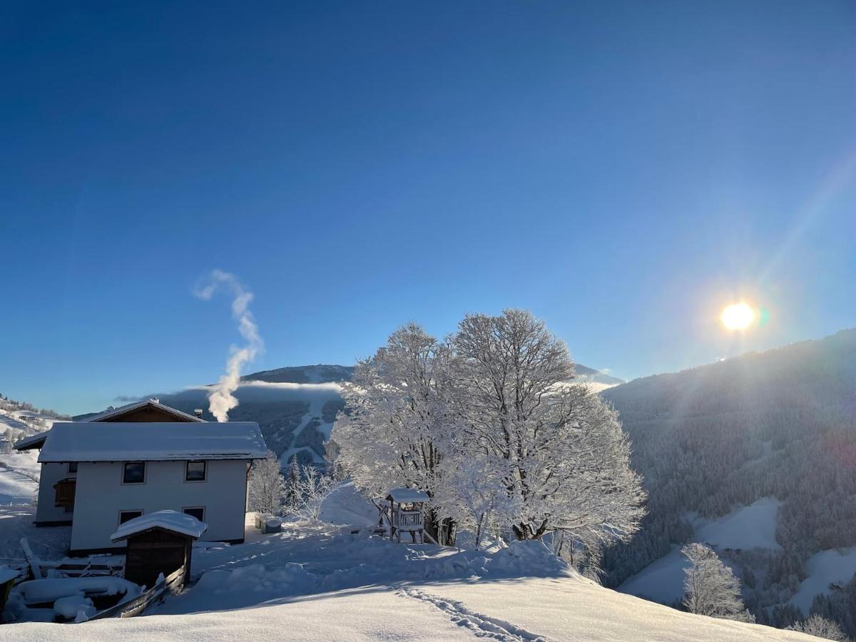 蓬高圣约翰Lindbichlhof Urlaub Am Bio Bauernhof公寓 外观 照片