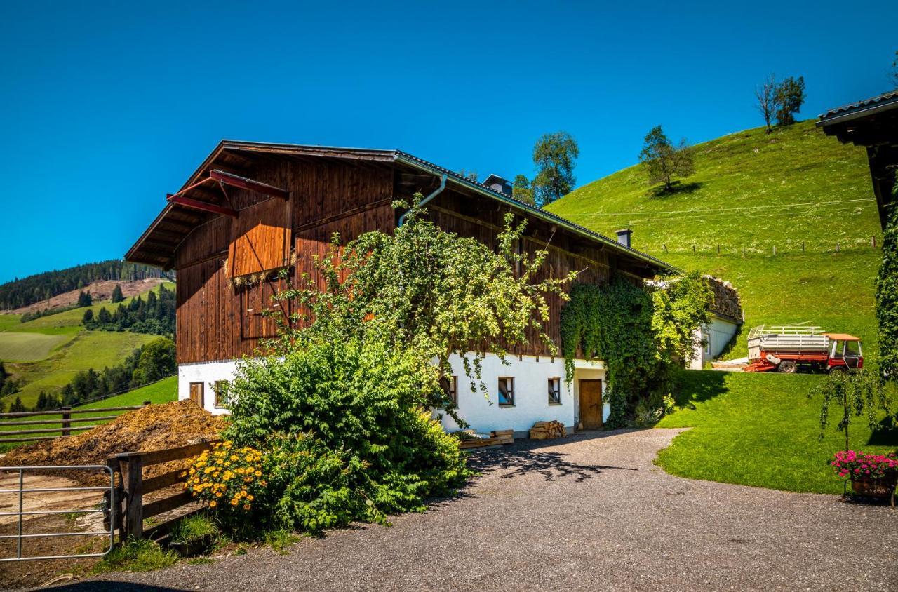 蓬高圣约翰Lindbichlhof Urlaub Am Bio Bauernhof公寓 外观 照片