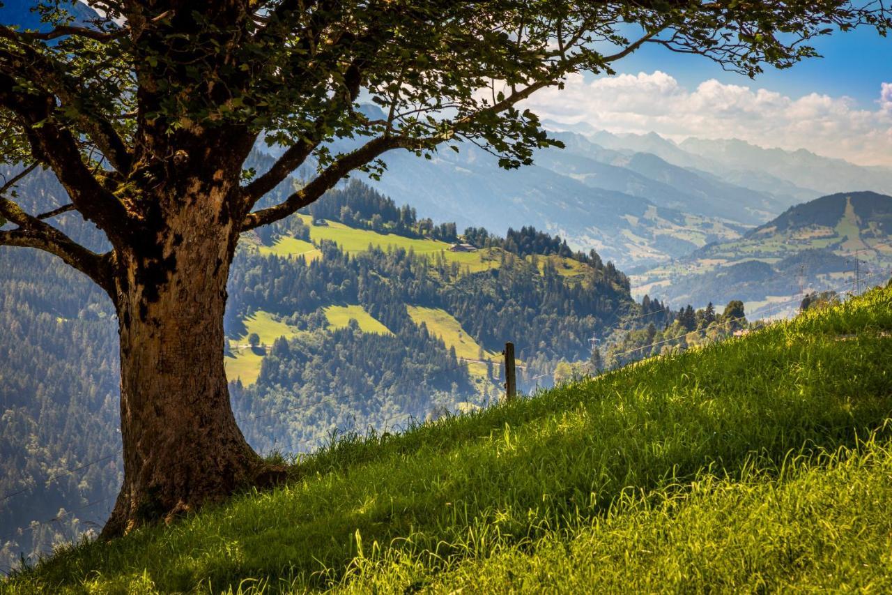 蓬高圣约翰Lindbichlhof Urlaub Am Bio Bauernhof公寓 外观 照片